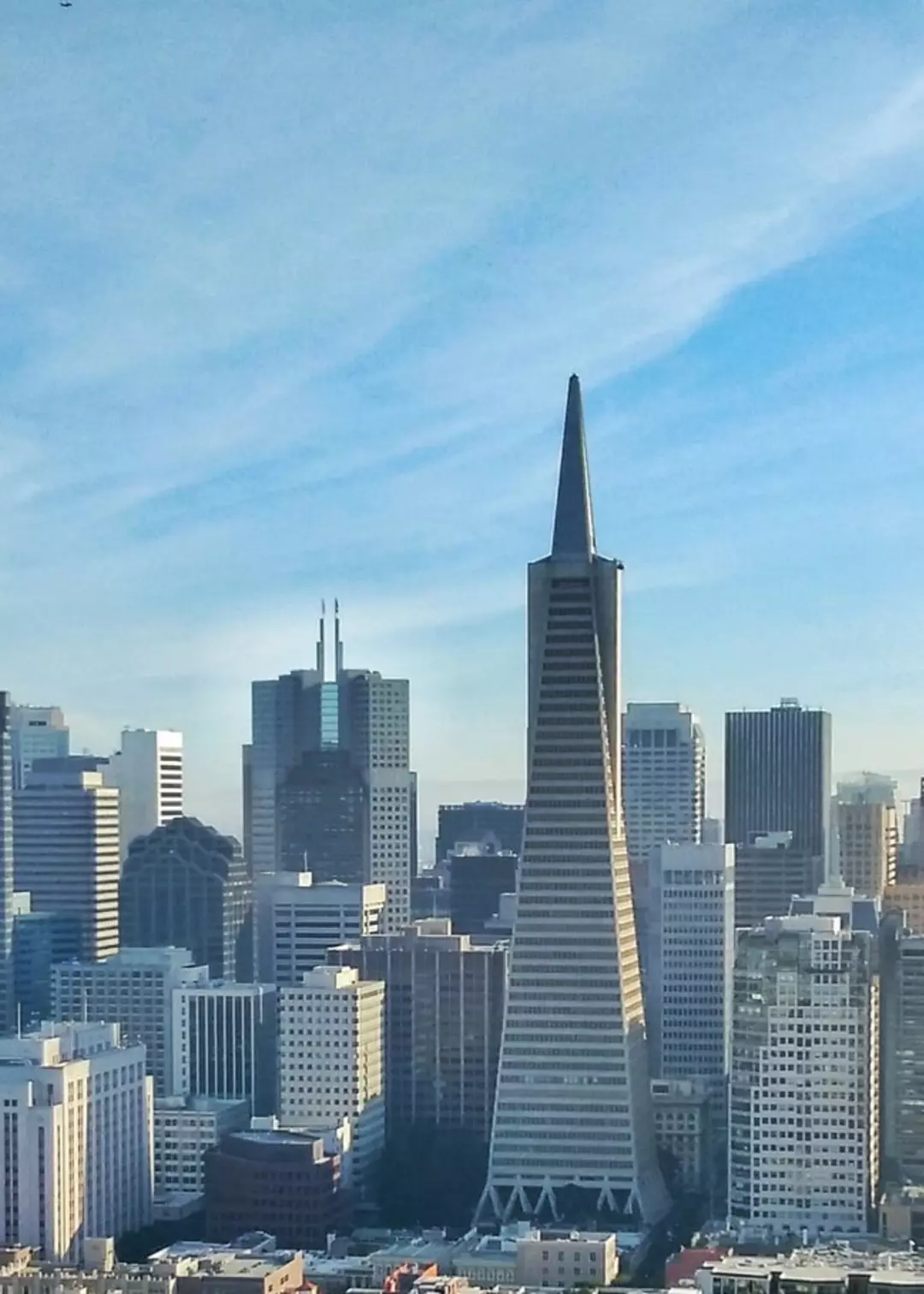 Apicil Investment Solutions
